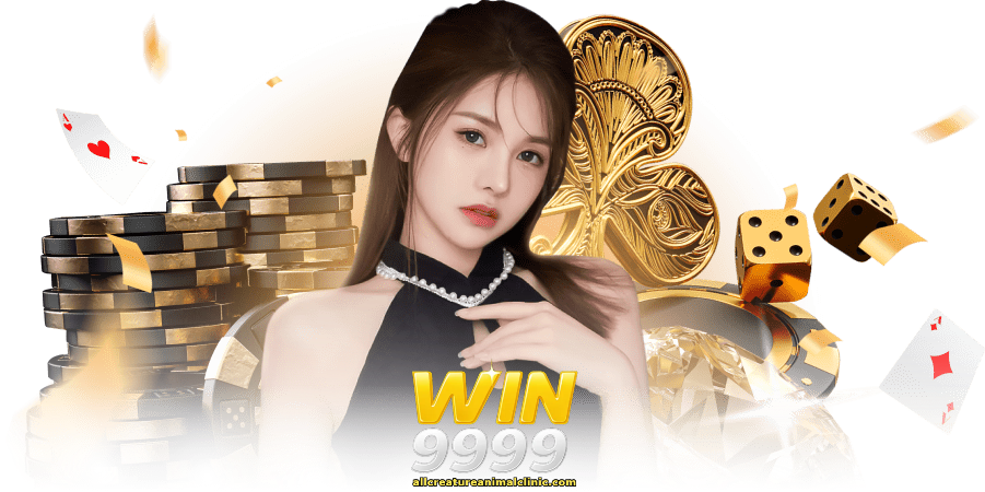 win9999 เข้าสู่ระบบ